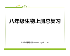 《八年级生物上册总复习》PPT课件3