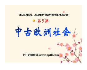 《中古欧洲社会》亚洲和欧洲的封建社会PPT课件2