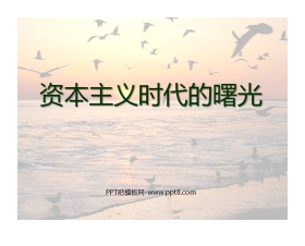 《资本主义时代的曙光》步入近代PPT课件4