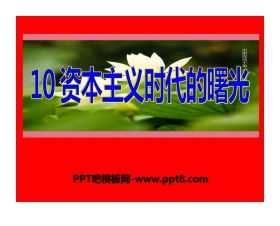 《资本主义时代的曙光》步入近代PPT课件8