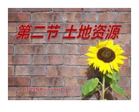 《土地资源》中国的自然资源PPT课件