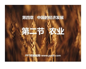 《农业》中国的经济发展PPT课件