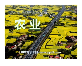 《农业》中国的经济发展PPT课件2