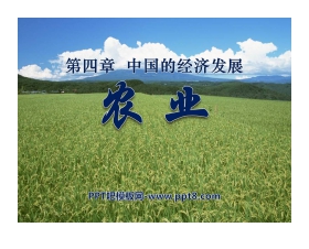 《农业》中国的经济发展PPT课件4