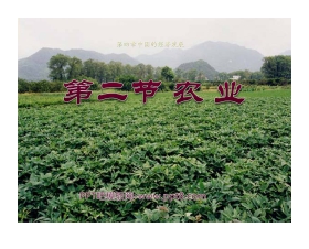 《农业》中国的经济发展PPT课件6