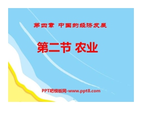 《农业》中国的经济发展PPT课件7