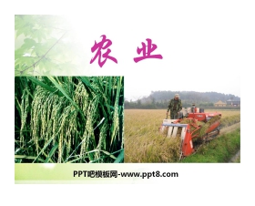 《农业》中国的经济发展PPT课件8