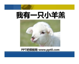 《我有一只小羊羔》PPT课件2