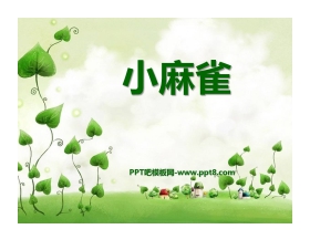 《小麻雀》PPT课件3