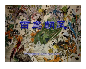 《百鸟朝凤》PPT课件