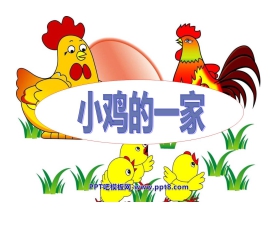 《小鸡的一家》PPT课件2