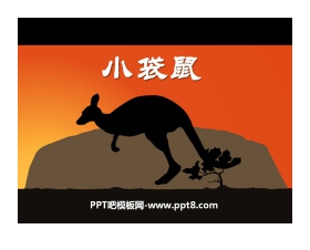 《小袋鼠》PPT课件2