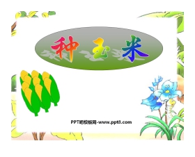 《种玉米》PPT课件