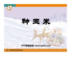 《种玉米》PPT课件2