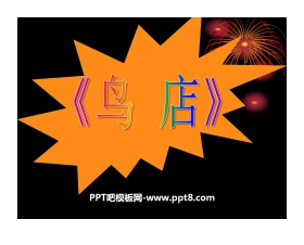 《鸟店》PPT课件