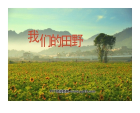 《我们的田野》PPT课件