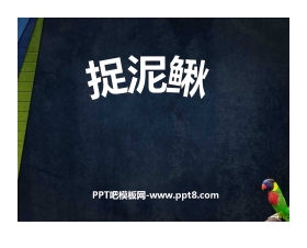 《捉泥鳅》PPT课件2