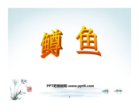 《鳟鱼》PPT课件2