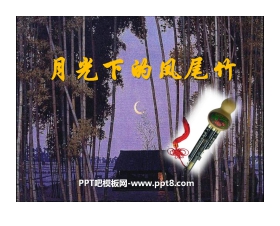 《月光下的风尾竹》PPT课件