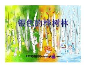 《银色的桦树林》PPT课件