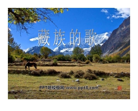 《藏族的歌》PPT课件