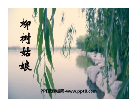 《柳树姑娘》PPT课件2