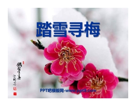 《踏雪寻梅》PPT课件3