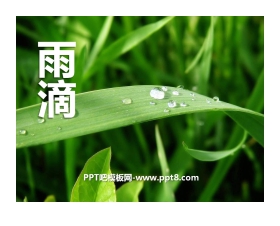《雨滴》PPT课件