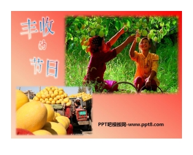 《丰收的节日》PPT课件2