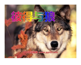 《彼得与狼》PPT课件2