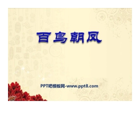 《百鸟朝凤》PPT课件6