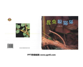 《昆虫躲猫猫》绘本故事PPT