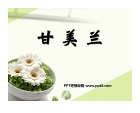 《甘美兰》PPT课件2