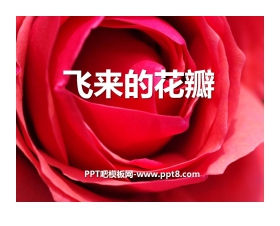 《飞来的花瓣》PPT课件