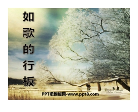 《如歌的行板》PPT课件