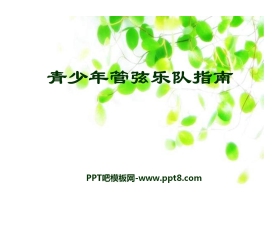 《青少年管弦乐队指南》PPT课件3