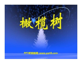 《橄榄树》PPT课件
