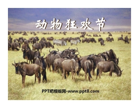 《动物狂欢节》PPT课件3
