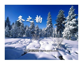 《冬之韵》PPT课件