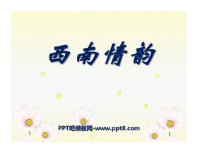 《西南风情》PPT课件