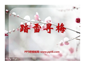 《踏雪寻梅》PPT课件5
