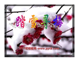 《踏雪寻梅》PPT课件6