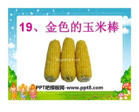 《金色的玉米棒》PPT课件2