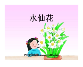 《水仙花》PPT课件