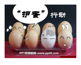 《“护蛋”行动》PPT课件