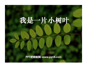 《我是一片小树叶》PPT课件