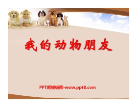 《我的动物朋友》PPT课件