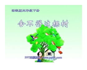 《舍不得这棵树》PPT课件2