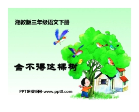 《舍不得这棵树》PPT课件4