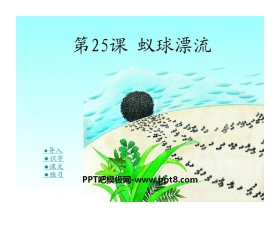 《蚁球漂流》PPT课件2